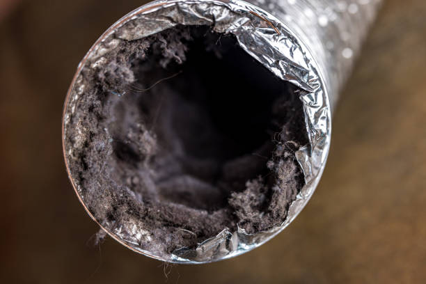 Best Best Air Duct Cleaning Near Me  in Montpelier, ID